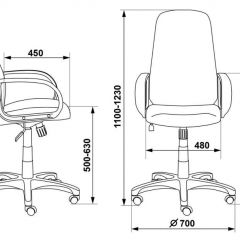 Кресло руководителя Бюрократ CH-808AXSN/G темно-серый 3C1 в Лабытнанги - labytnangi.mebel24.online | фото 3