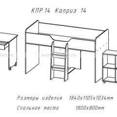 КАПРИЗ-14 Кровать 800 двухъярусная без рисунка в Лабытнанги - labytnangi.mebel24.online | фото 2