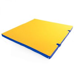 Мат гимнастический 1х1х0,05м с вырезом под стойки цв. синий-желтый в Лабытнанги - labytnangi.mebel24.online | фото