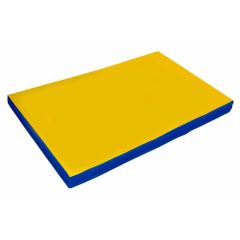 Мат гимнастический 2х1х0,1м цв. синий-желтый в Лабытнанги - labytnangi.mebel24.online | фото