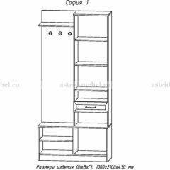 Прихожая София 1 в Лабытнанги - labytnangi.mebel24.online | фото 3