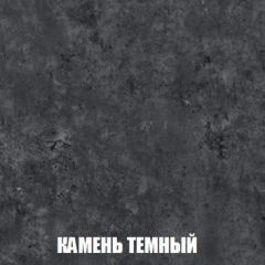 Шкаф 2-х створчатый МСП-1 (Дуб Золотой/Камень темный) в Лабытнанги - labytnangi.mebel24.online | фото 5