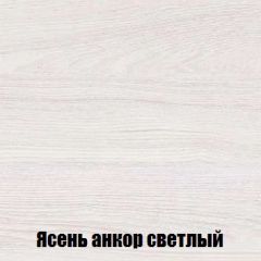 Шкаф 2-х створчатый МСП-1 (Ясень Анкор светлый) в Лабытнанги - labytnangi.mebel24.online | фото 4