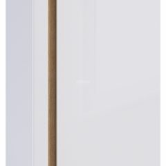 Шкаф 2х дверный с зеркалом Веста СБ-2259 (Дуб Бунратти/Белый глянец) в Лабытнанги - labytnangi.mebel24.online | фото 3