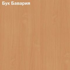 Шкаф для одежды большой Логика Л-8.1 в Лабытнанги - labytnangi.mebel24.online | фото 2