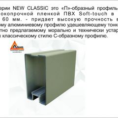 Шкаф-купе 1500 серии NEW CLASSIC K2+K2+B2+PL2(2 ящика+1 штанга+1 полка) профиль «Капучино» в Лабытнанги - labytnangi.mebel24.online | фото 17