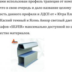 Шкаф-купе 1500 серии SILVER S1+S1+B2+PL2 (2 ящика+1 штанга+1 полка) профиль «Серебро» в Лабытнанги - labytnangi.mebel24.online | фото 4