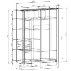 Шкаф-купе 1600 с плитой 22 мм ЛИБЕРТИ в Лабытнанги - labytnangi.mebel24.online | фото 4