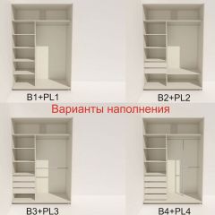 Шкаф-купе 1600 серии SOFT D8+D2+B2+PL4 (2 ящика+F обр.штанга) профиль «Капучино» в Лабытнанги - labytnangi.mebel24.online | фото 4