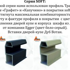 Шкаф-купе 1600 серии SOFT D8+D2+B2+PL4 (2 ящика+F обр.штанга) профиль «Капучино» в Лабытнанги - labytnangi.mebel24.online | фото 10