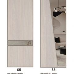 Шкаф-купе 1950 серии SILVER S4+S1+S4 B22+PL4 (по 2 ящика лев/прав+F обр.штанга) профиль «Серебро» в Лабытнанги - labytnangi.mebel24.online | фото 14
