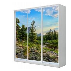 Шкаф-купе ХИТ 23-20/2-777 (620) в Лабытнанги - labytnangi.mebel24.online | фото
