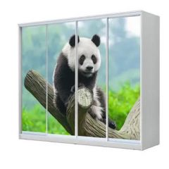 Шкаф-купе ХИТ 23-24/2-7777 (620) в Лабытнанги - labytnangi.mebel24.online | фото