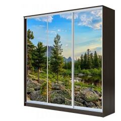 Шкаф-купе ХИТ 23-4-18-777 (420) в Лабытнанги - labytnangi.mebel24.online | фото 1