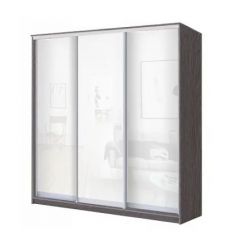 Шкаф-купе ХИТ 23-4-20-888 (420) в Лабытнанги - labytnangi.mebel24.online | фото 1