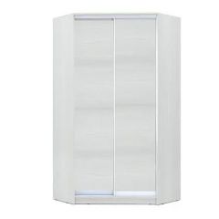 Шкаф-купе ХИТ-У-24-4-11 в Лабытнанги - labytnangi.mebel24.online | фото