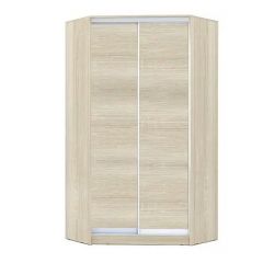 Шкаф-купе ХИТ-У-L-24-64-11 в Лабытнанги - labytnangi.mebel24.online | фото 8