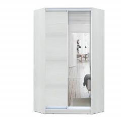 Шкаф-купе ХИТ-У-L-24-64-15 в Лабытнанги - labytnangi.mebel24.online | фото