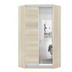 Шкаф-купе ХИТ-У-L-24-64-15 в Лабытнанги - labytnangi.mebel24.online | фото 8