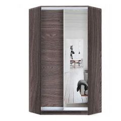 Шкаф-купе ХИТ-У-L-24-64-15 в Лабытнанги - labytnangi.mebel24.online | фото 11