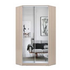 Шкаф-купе ХИТ-У-L-24-64-55 в Лабытнанги - labytnangi.mebel24.online | фото 9