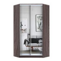 Шкаф-купе ХИТ-У-L-24-64-55 в Лабытнанги - labytnangi.mebel24.online | фото 11