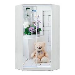 Шкаф-купе ХИТ-У-L-24-64-77 в Лабытнанги - labytnangi.mebel24.online | фото