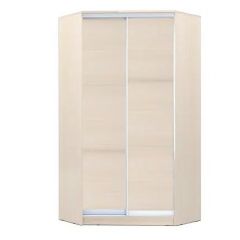 Шкаф-купе ХИТ-У-R-24-64-11 в Лабытнанги - labytnangi.mebel24.online | фото 7