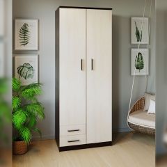 Шкаф распашной ПШ-3.9 в Лабытнанги - labytnangi.mebel24.online | фото 3