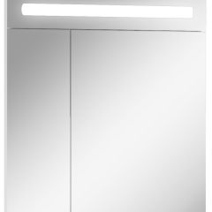 Шкаф-зеркало Аврора 65 с подсветкой LED Домино (DV8006HZ) в Лабытнанги - labytnangi.mebel24.online | фото 1