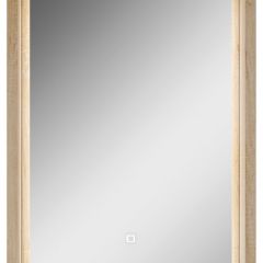 Шкаф-зеркало Nice 50 с подсветкой Домино (DN4705HZ) в Лабытнанги - labytnangi.mebel24.online | фото 2