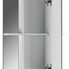Шкаф-зеркало Норма 2-50 правый АЙСБЕРГ (DA1608HZ) в Лабытнанги - labytnangi.mebel24.online | фото 2