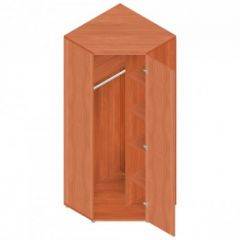 Шкаф для одежды "Референт" Р.Ш-10 в Лабытнанги - labytnangi.mebel24.online | фото