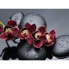 Стол обеденный Бостон Ст101.1 орхидеи в Лабытнанги - labytnangi.mebel24.online | фото 3