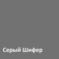 Юнона Шкаф торцевой 13.221 в Лабытнанги - labytnangi.mebel24.online | фото 2