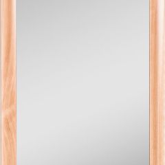 Зеркало МДФ профиль 1200х600 Бук Домино (DM9002Z) в Лабытнанги - labytnangi.mebel24.online | фото 1