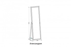 АЛЕКСАНДРИЯ-9.1 Зеркало напольное в Лабытнанги - labytnangi.mebel24.online | фото 2
