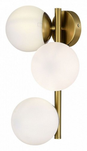 Бра EVOLUCE Fratta SLE1191-201-03 в Лабытнанги - labytnangi.mebel24.online | фото 4