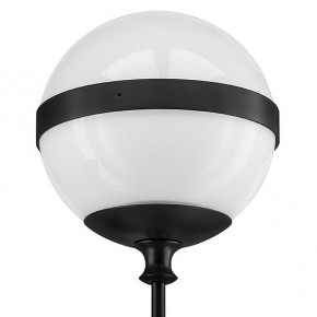 Бра Lightstar Globo 813617 в Лабытнанги - labytnangi.mebel24.online | фото 3