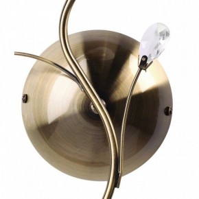 Бра MW-Light Нежность 7 356023001 в Лабытнанги - labytnangi.mebel24.online | фото 3