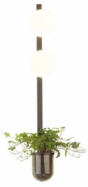 Бра Odeon Light Flower 4681/2WA в Лабытнанги - labytnangi.mebel24.online | фото 3