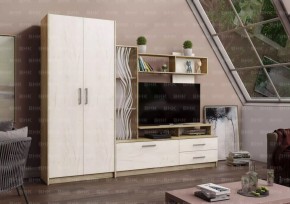 ДАРЬЯ Гостиная (Крафт серый/Крафт белый) в Лабытнанги - labytnangi.mebel24.online | фото