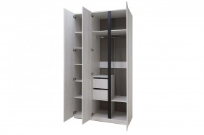 ДЕЛИ 3 Шкаф 3-х створчатый в Лабытнанги - labytnangi.mebel24.online | фото 6