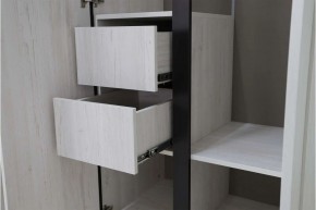 ДЕЛИ 3 Шкаф 3-х створчатый в Лабытнанги - labytnangi.mebel24.online | фото 7