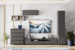 ДЕНВЕР Пенал (Графит серый) в Лабытнанги - labytnangi.mebel24.online | фото 4