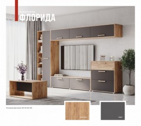 ФЛОРИДА Гостиная (модульная) дуб золотой/графит в Лабытнанги - labytnangi.mebel24.online | фото