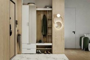 Гарнитур для прихожей Торонто в Лабытнанги - labytnangi.mebel24.online | фото 5