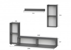 Гостиная МГС 10 (Графит) в Лабытнанги - labytnangi.mebel24.online | фото 2