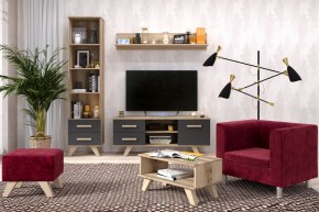Гостиная Вега Скандинавия (комплект 5) в Лабытнанги - labytnangi.mebel24.online | фото