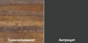 Кухонный гарнитур угловой Трансильвания 2600х1600 мм (Стол. 38 мм) в Лабытнанги - labytnangi.mebel24.online | фото 3